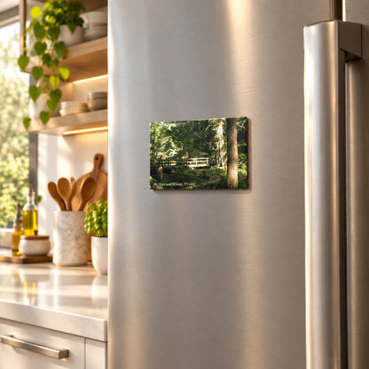 McKenzie River Trail | Rectangle magnet | Oregon Souvenir