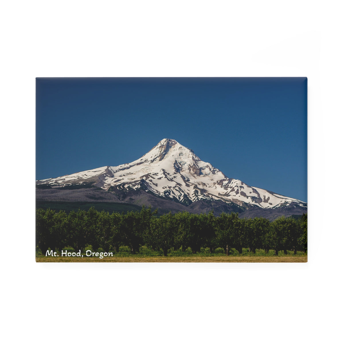 Mt. Hood | Rectangle magnet | Oregon Souvenir