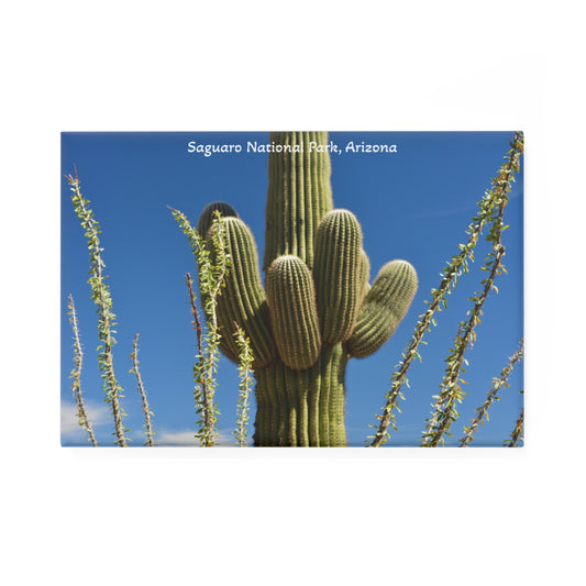 Saguaro National Park | Rectangle magnet | Arizona Souvenir