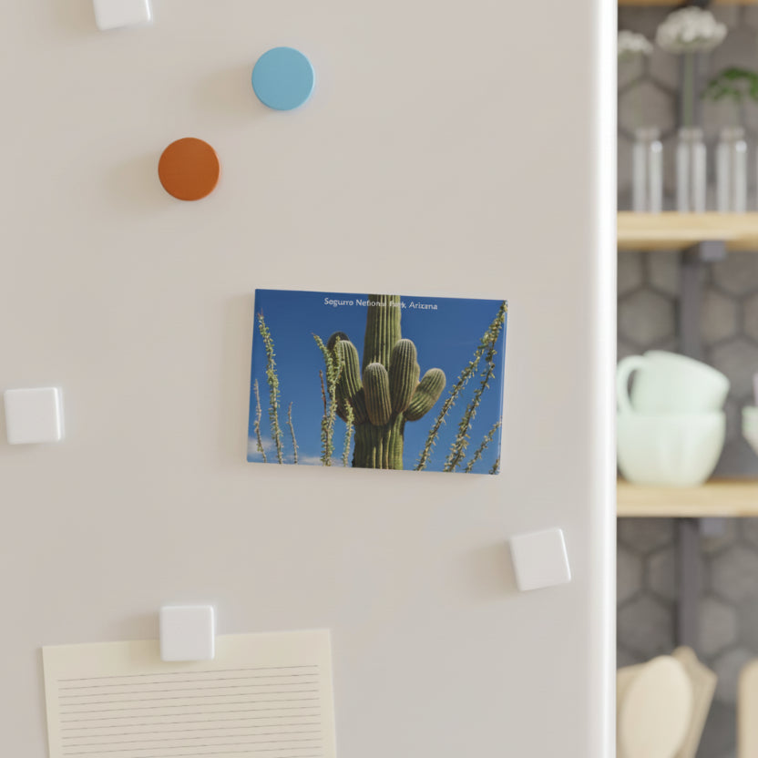 Canvas print of a cactus on a wall with colorful hooks