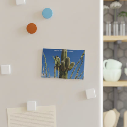 Canvas print of a cactus on a wall with colorful hooks