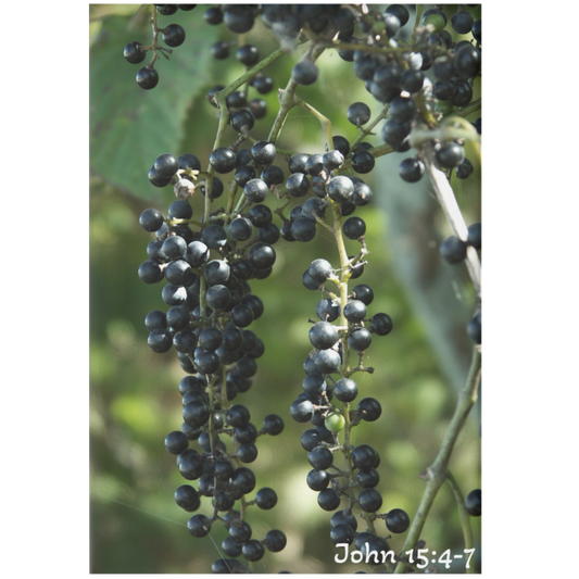 Cluster of dark berries on a branch with a blurred green background
