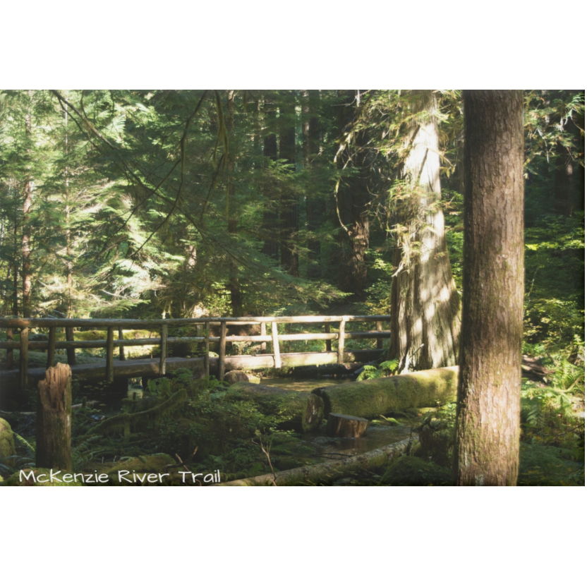 Wooden bridge over a stream in a forest with 'McKenzie River Trail' text.