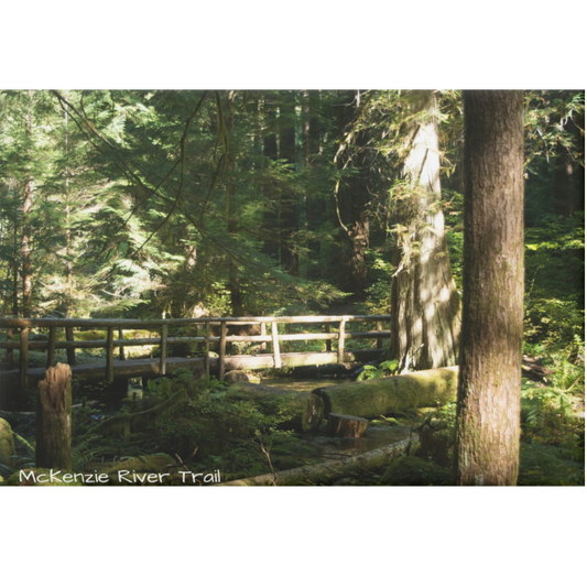 Wooden bridge over a stream in a forest with 'McKenzie River Trail' text.