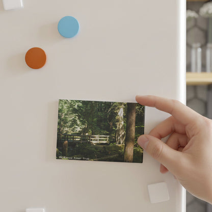 Wall with colorful circular hooks and a nature-themed picture