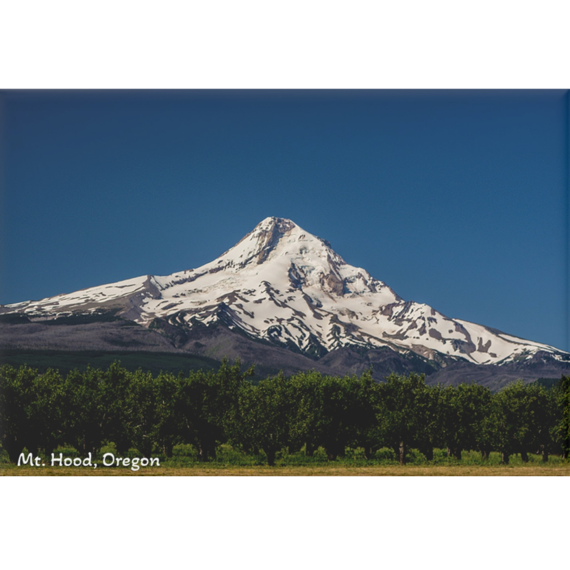 Snow-capped mountain with trees in the foreground and a clear blue sky.