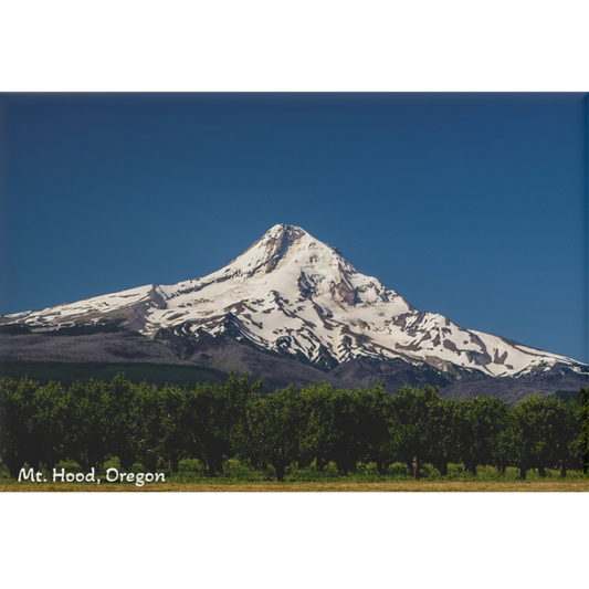 Snow-capped mountain with trees in the foreground and a clear blue sky.