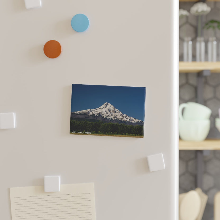 Canvas print of a mountain scene on a wall with colorful hooks.
