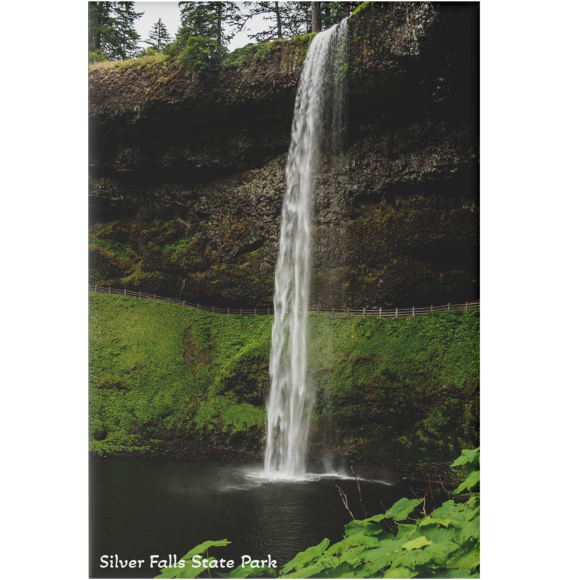 Waterfall in Silver Falls State Park with lush greenery