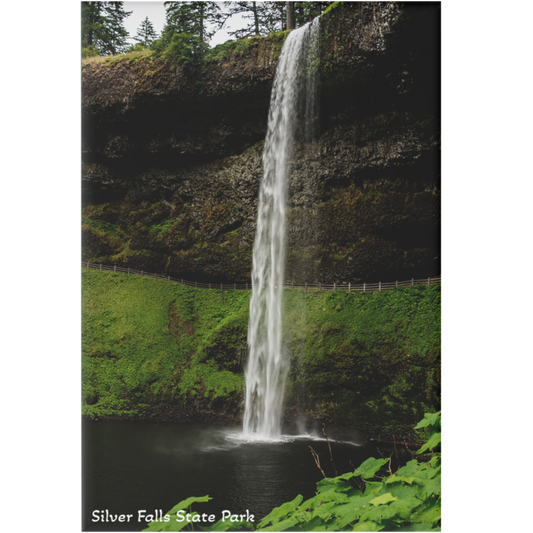 Waterfall in Silver Falls State Park with lush greenery