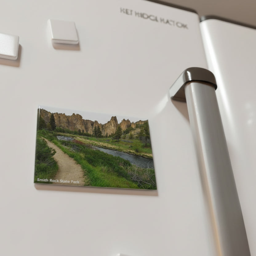 Fridge magnet of a scenic landscape on a refrigerator with other magnets.