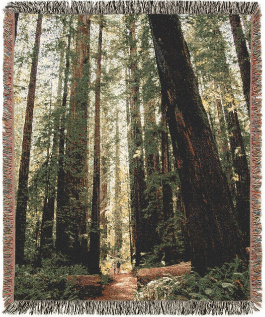 Redwoods Trail Woven blanket with a forest scene featuring tall trees and a path.