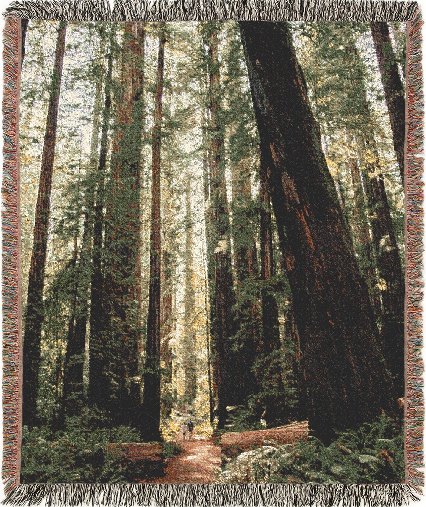 Redwood trails woven blanket with a forest design featuring trees and a trail