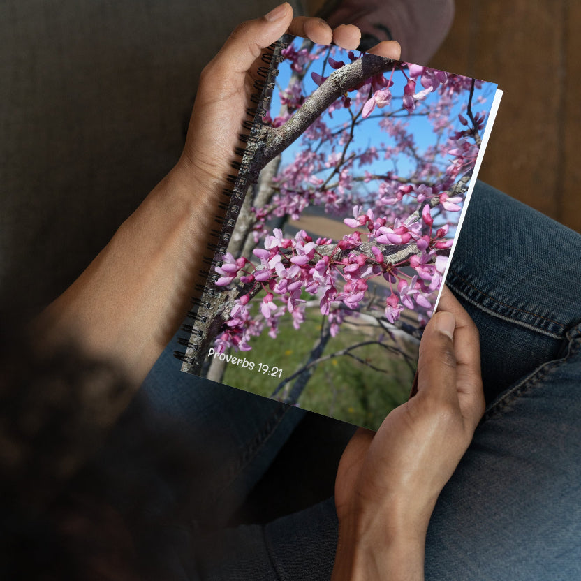 Person holding a book with a cover featuring pink blossoms and a blue sky.